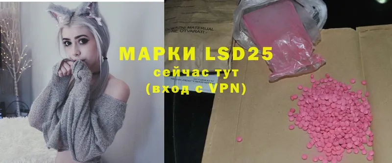 LSD-25 экстази ecstasy  где купить наркотик  Каменногорск 